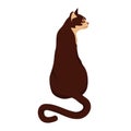 Vector illustration of a brown cat, view from the back. Isolated